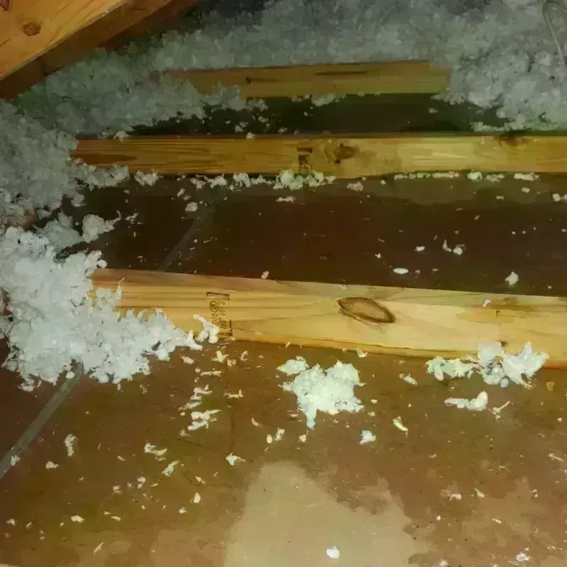 Attic Water Damage in Parkwood, CA