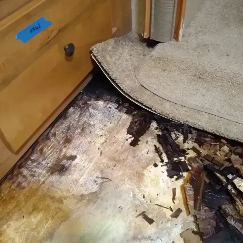 Best Wood Floor Water Damage Service in Parkwood, CA